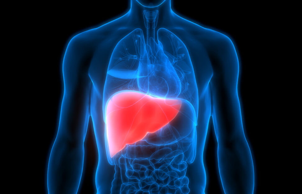 Liver disease is caused by chronic inflammation