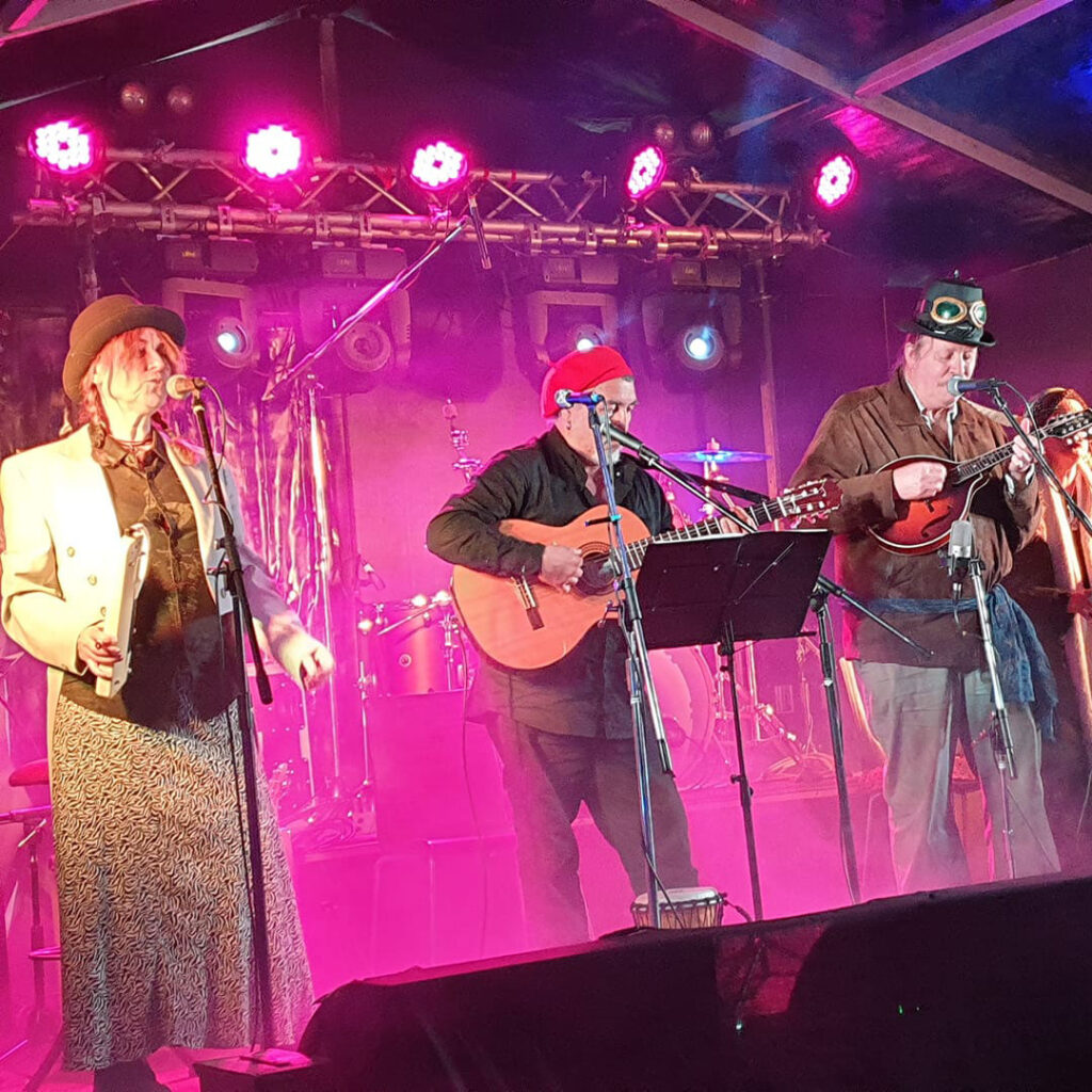Concert for Centenary Institute