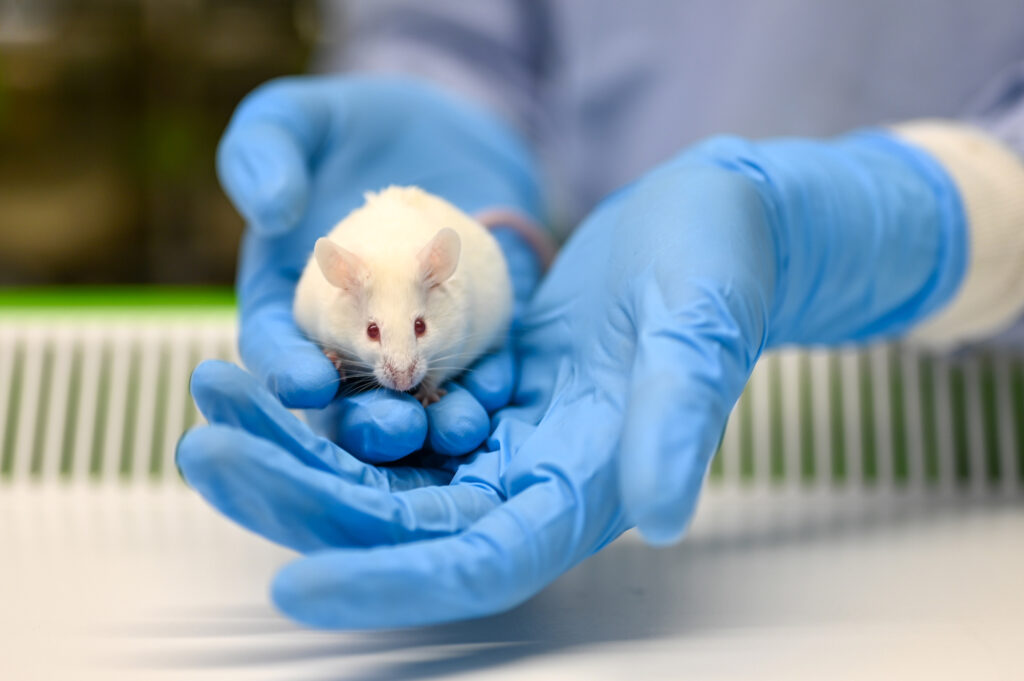 using animals for medical research cons