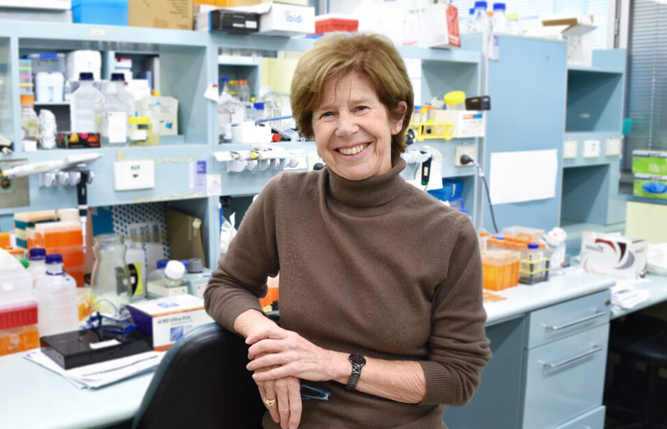 Jennifer Gamble Grant to boost research into age-related blood vessel health ...